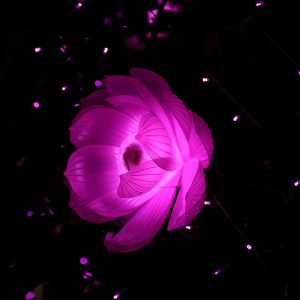 Gaia_02