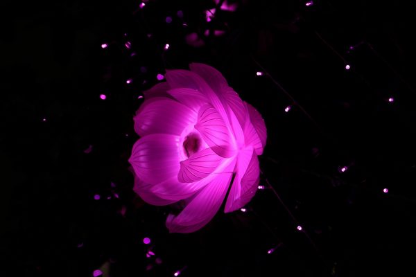 Gaia_02