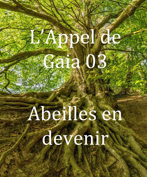 Gaia_03
